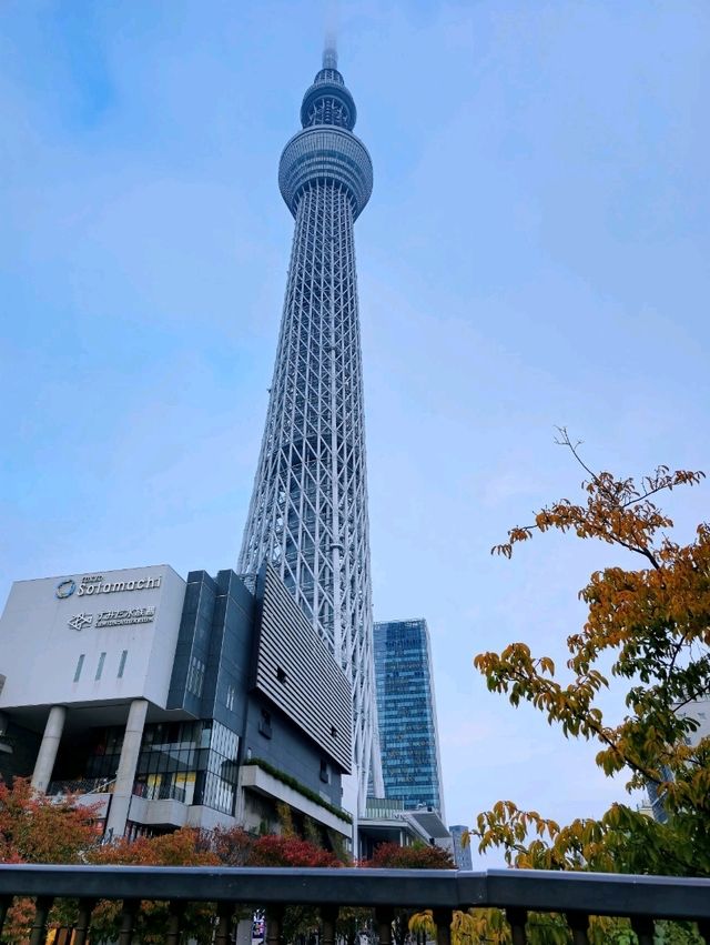 ❣️แจกพิกัดถ่ายรูปกับ Tokyo Sky Tree📸