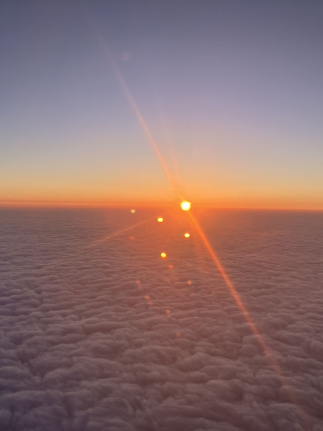 【飛行機】沖縄からPeachの直行便でいく北海道旅