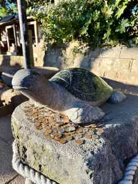 【茨城　酒列磯前神社】