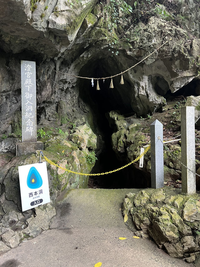 【高知旅行】土佐／南国の秘境✨️自然の神秘を感じる鍾乳洞