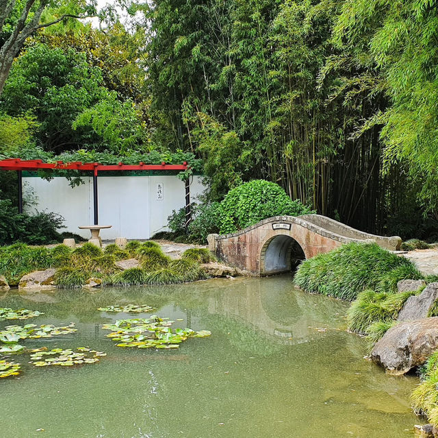 Hamilton Gardens: A World of Beauty and Inspiration