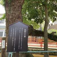 【福岡】自然豊かな神社