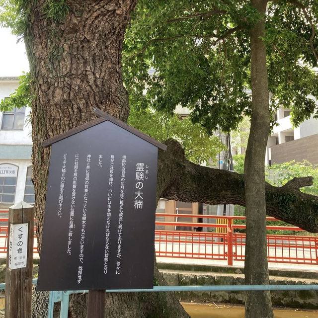 【福岡】自然豊かな神社