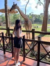 ✨✈️ HKD 4,800 遊越南富國島 Day 3 - Part 2: Safari 珍珠野生動物園✨