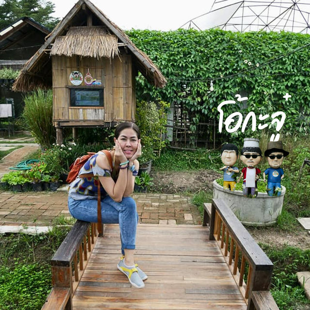 🧆 โอ้กะจู๋  