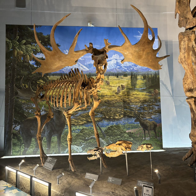 【福井旅行】恐竜博物館🦕