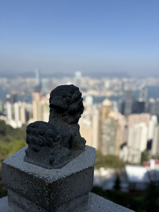 香港の魅力を紹介！