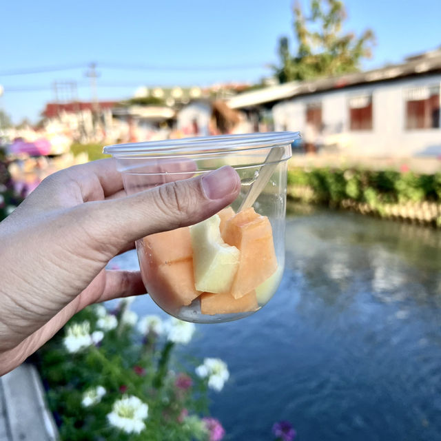 พาเดินชิลๆ รับลม ที่เที่ยวใหม่ ที่คลองแม่ข่า 🌸🏚️
