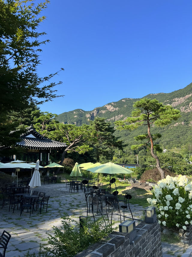 고즈넉한 한옥, 수국이 예쁜 포천 가비가배 카페 ☕️