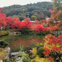 京都へ行こう！京都の紅葉【永観堂】🍁