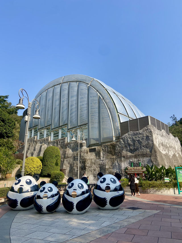 🐼😍澳門大熊貓館｜澳門親子行程景點推薦🧑‍🧑‍🧒‍🧒🧍‍♂️🧍‍♀️