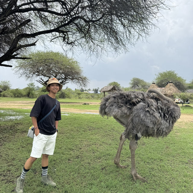 Nguuni Wildlife Sanctuary, Kenya 🇰🇪