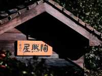 傳統與文化的交融—北投文物館參訪體驗