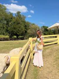เที่ยวเขาใหญ่ฟีลต่างประเทศ 𝗣𝗿𝗶𝗺𝗼 𝗣𝗶𝗮𝘇𝘇𝗮