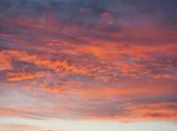 【イタリア・ローマ】ローマで夕焼けを見るならピンチョの丘