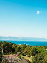 【初島】初島灯台✨️絶景の白い灯台