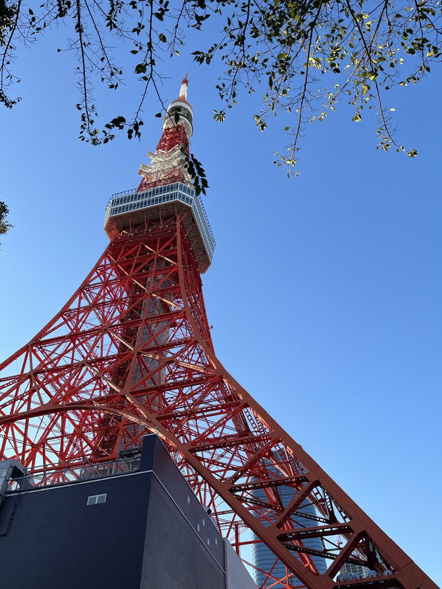 🇯🇵 東京鐵塔這樣玩🗼！