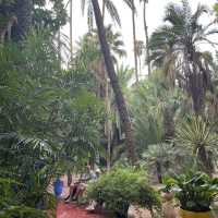 Amazing Jardim Majorelle with exotic plants