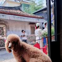 Xiamen retro vibes at Zengcuoan