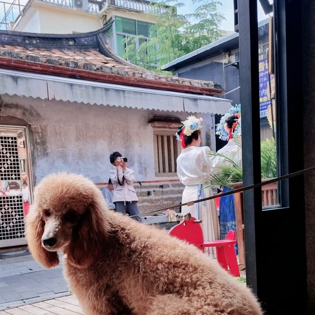 Xiamen retro vibes at Zengcuoan