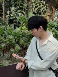 ✨Flower Dome Singapore