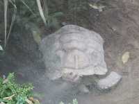Nature in the City: Exploring Hong Kong Zoo and Botanical Gardens