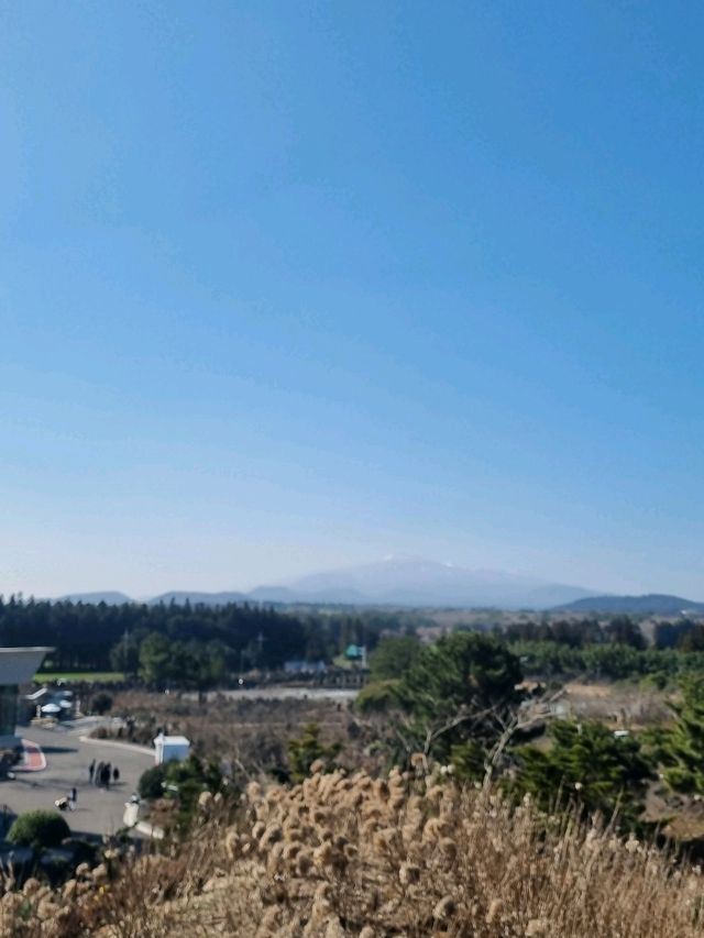 제주도에서 꼭 가봐야할 스타벅스☕️