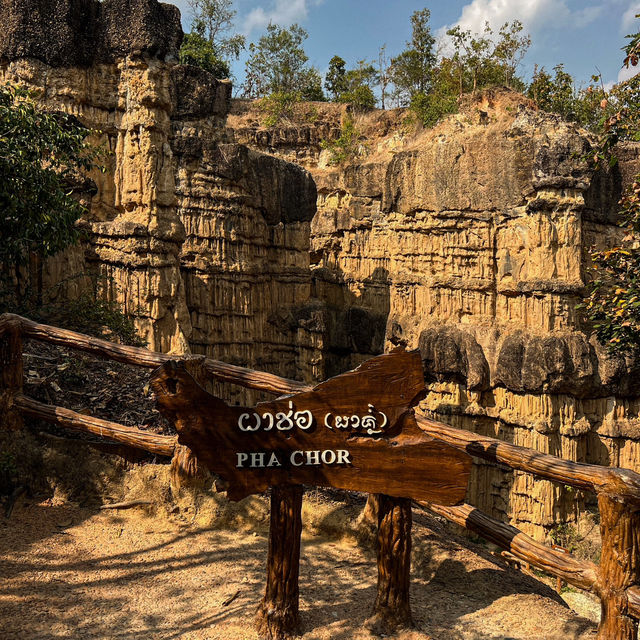 ผาช่อ อุทยานแห่งชาติแม่วาง เชียงใหม่
