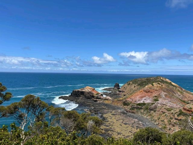 A Whisker Away from Paradise: Cape Schanck Wonders