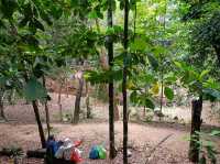Gunung Lambak Kluang Johor,it is free to explore the nature