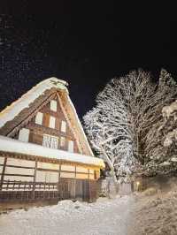 Hida folk village