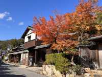 A Symphony of Colors – The Lonely Souls in the Adashino Nenbutsu-ji Temple