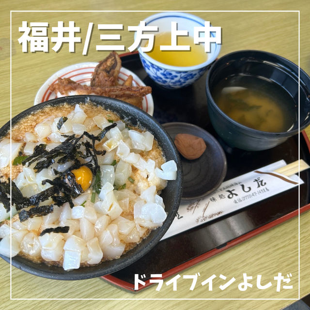 【福井/三方上中】イカ丼が有名なお店🦑