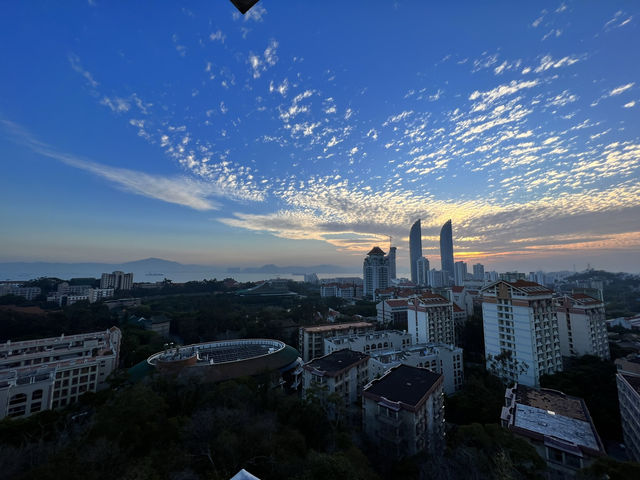 廈門大學校內觀景參觀心得