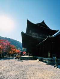 燃えるような紅葉🍁南禅寺で極上の秋を！