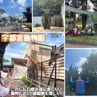【宇都宮】おすすめスポット3選♡