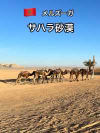 🇲🇦  メルズーガ　サハラ砂漠