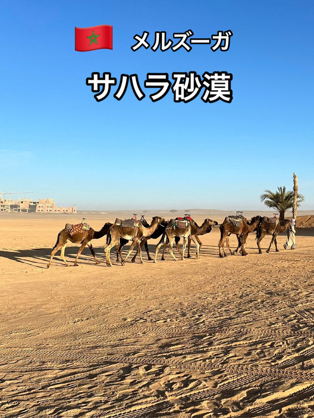 🇲🇦  メルズーガ　サハラ砂漠