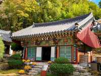 釜山長安寺，山林溪谷中的千年古剎