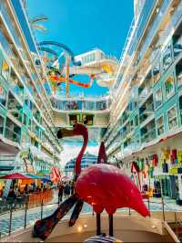 🚢🌊 Ultimate Cruise Experience on Icon of the Seas – The World’s Largest Cruise Ship! 🏝️✨ 