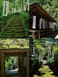 景點推薦：東京近郊・鎌倉報國寺——靜謐竹林中的禪意世界