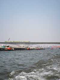 นั่งเรือมาเดินปากคลองตลาด