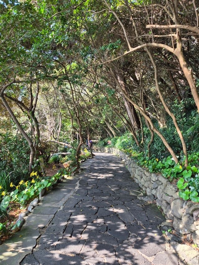 제주 3대 폭포 중 정방폭포💙