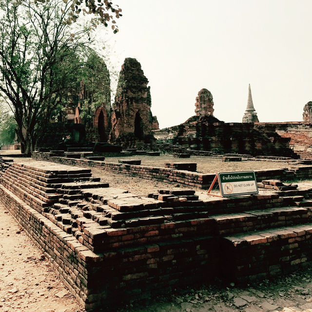 Timeless Wonder at Wat Mahathat