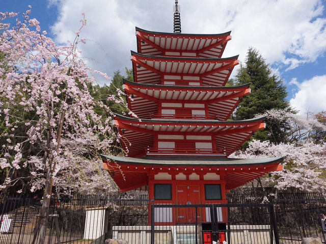  東京至淺間公園之旅：富士山與櫻花的完美配合