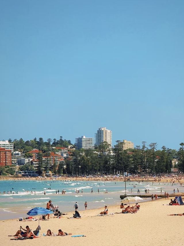 Sun, Surf, and Scenic Views – My Visit to Manly Beach, Sydney