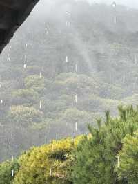 香川｜相傳為狩獵砍光栗林的栗林公園 從顯貴豪邸到藩主秘密花園