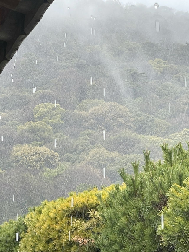 香川｜相傳為狩獵砍光栗林的栗林公園 從顯貴豪邸到藩主秘密花園