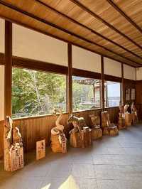 【和歌山県】樹木の神様のもとで木の股くぐり