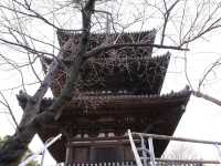 横浜観光飽きたらここ‼️ 【旧燈明寺三重塔】